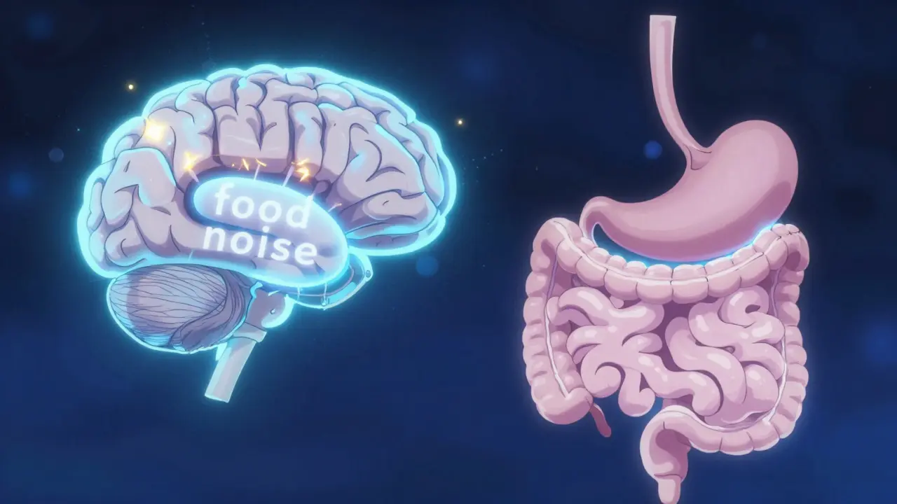 Conceptual anime art showing the brain and gut reacting to GLP-1 medication