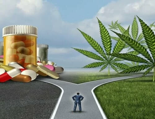 Big Pharma Furious — 80% of Cannabis Users Give Up Prescription Drugs