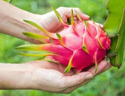 This Is What Happens to Your Body After You Eat Dragon Fruit