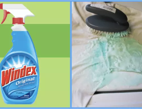 12 Clever Uses for Windex That Will Make You Change the Way You Clean Forever!